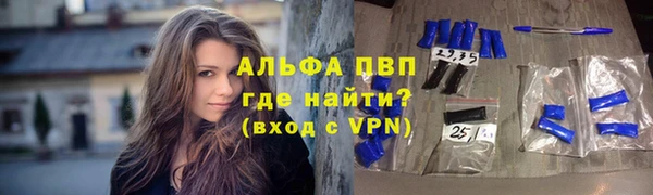 амф Майский
