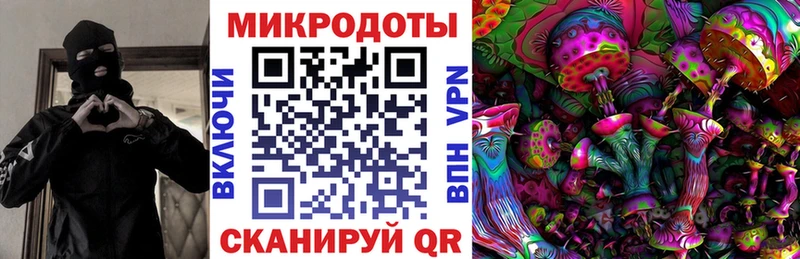 Галлюциногенные грибы Psilocybine cubensis Купить Лакинск